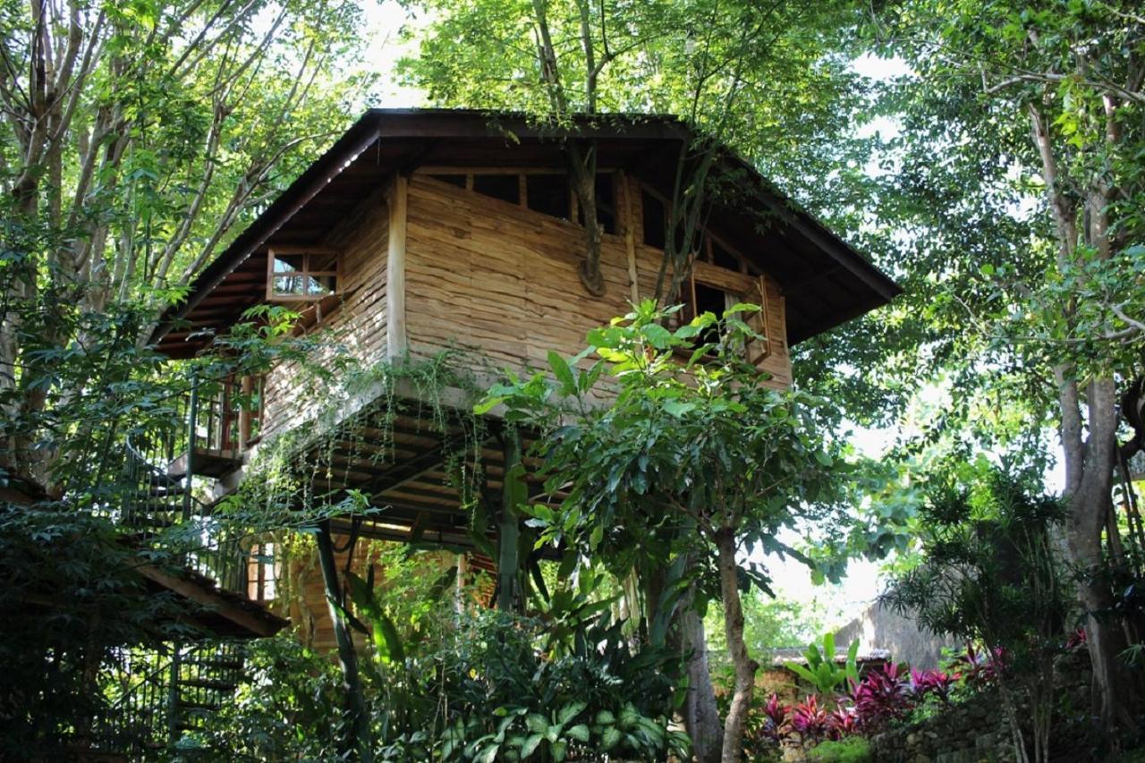 Roots Tree House Villa Uluwatu  Exterior photo