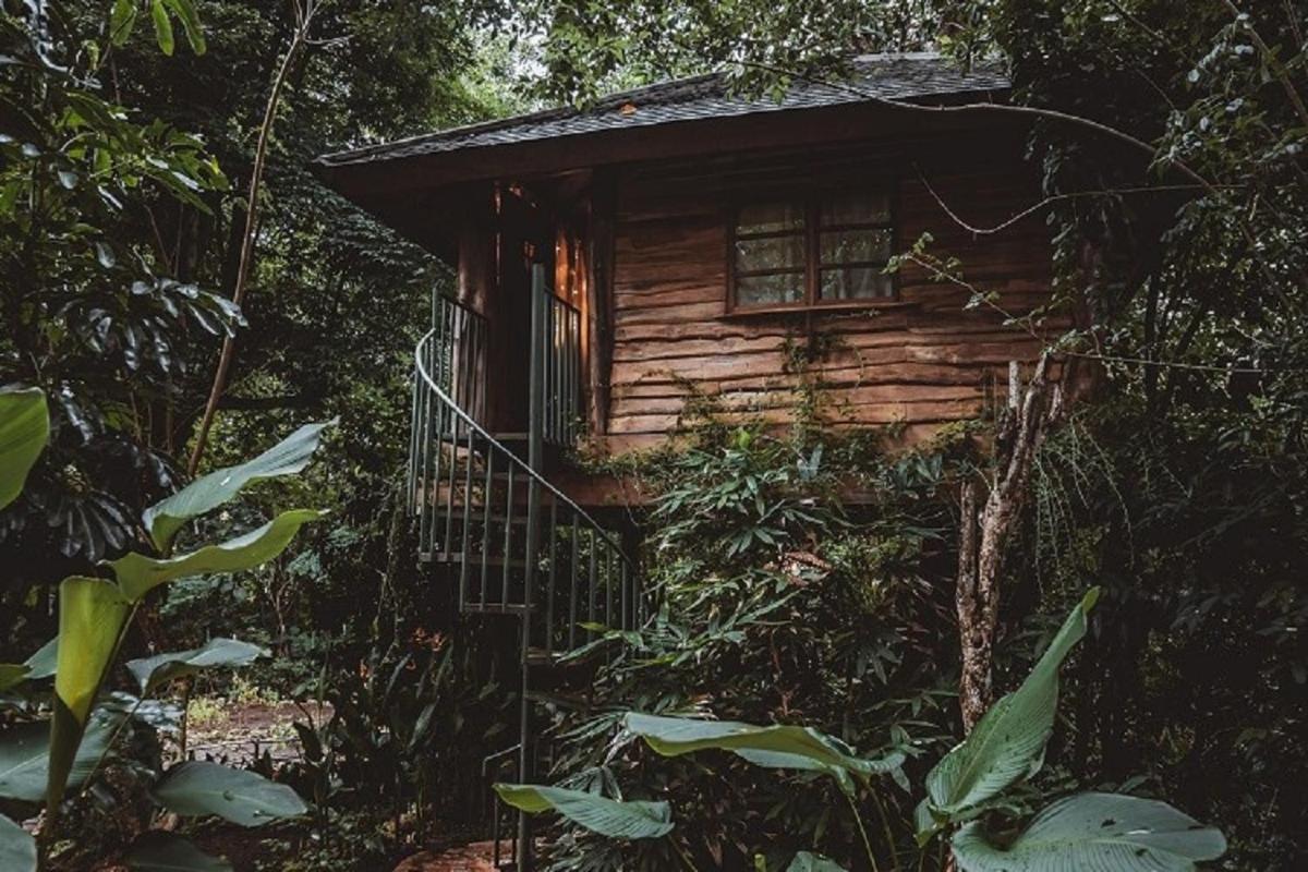 Roots Tree House Villa Uluwatu  Exterior photo