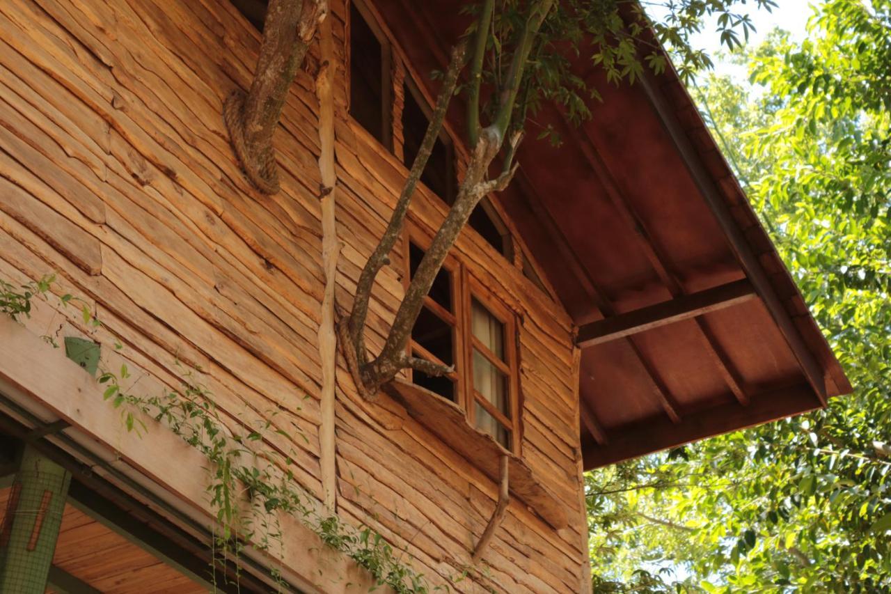 Roots Tree House Villa Uluwatu  Exterior photo